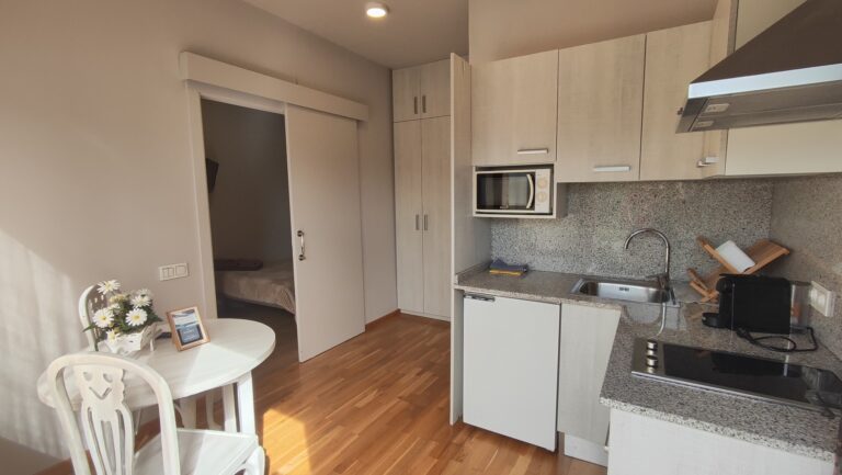 EL PETIT DEL PLA - ENTRADA V2