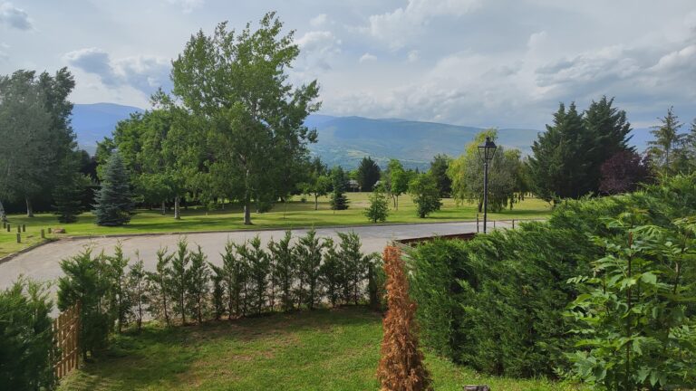 EL PETIT DEL PLA - VISTES